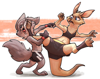 3_fingers 3_toes angry anthro balancing_on_tail barefoot blue_eyes bottomwear boxing brown_body brown_fur cheek_tuft claws clothed clothing digitigrade duo eyebrows eyelashes eyes_closed facial_tuft feet female fight fingerless_gloves fingers fur gloves grey_body grey_fur handwear kick male midriff navel open_mouth sharp_teeth shorts soles sport tail teeth toes tongue tongue_out topless tuft choecoga canid canine kangaroo macropod mammal marsupial 2017