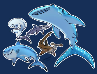 blue_body blue_fin brown_tail dorsal_fin eyes_closed female feral fin gills grey_body grey_tail group male shark_tail shark_teeth spots tail white_body white_spots white_tail chainsxwsmile disney finding_dory finding_nemo pixar anchor_(finding_nemo) bailey_(finding_dory) bruce_(finding_nemo) chum_(finding_nemo) destiny_(finding_dory) aquatic beluga carpet_shark cetacean fish great_white_shark ground_shark hammerhead_shark mackerel_shark mako_shark mammal monodontid shark toothed_whale whale_shark white_shark 2021