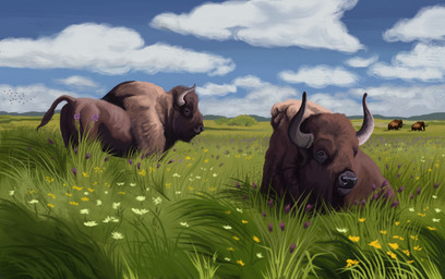 ambient_woolly_mammoth blue_sky brown_body brown_fur cloud day duo feral field flower_field fur grass horn lying male outside plant quadruped sky steppe agustindiazart bison bovid bovine elephantid european_bison mammal mammoth prehistoric_species proboscidean woolly_mammoth 2026 hi_res