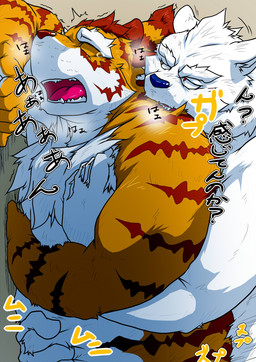 anthro belly_grab bite blue_nose bodily_fluids duo eyes_closed fucked_silly fur humanoid_hands kemono looking_at_another looking_at_partner male male/male moob_grab moobs nude obscured_penetration obscured_sex offscreen_sex overweight overweight_male rough_sex scruff_bite sex shaking tears text trembling white_body white_fur yukikazefactory bear felid mammal pantherine tiger 2015 japanese_text translated