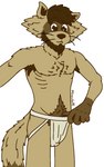 anthro armpit_hair body_hair clothing facial_hair jockstrap male solo underwear snoiller_fitzroy_(artist) snoiller_fitzroy domestic_ferret hybrid mammal mustelid musteline procyonid raccoon true_musteline weasel digital_drawing_(artwork) digital_media_(artwork) flat_colors