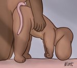 anthro brown_body brown_fur duo female from_behind_position fur male male/female sex young nimt mammal mouse murid murine rodent hi_res