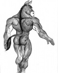 anthro biped butt fur looking_at_viewer looking_back male muscular muscular_anthro muscular_male nude rear_view solo standing tail tail_tuft tuft sudonym asinus donkey equid equine mammal monochrome