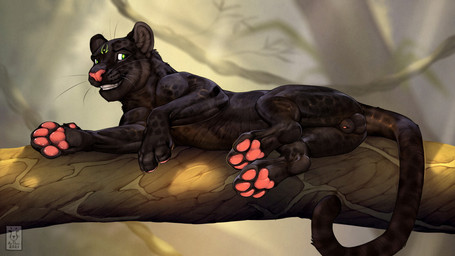 anatomically_correct anatomically_correct_genitalia animal_genitalia balls black_body black_fur branch facial_markings fangs feline_genitalia feral fur genitals head_markings looking_at_viewer lying male markings on_branch on_side outside pawpads paws penis penis_tip sheath smile solo spots spotted_body spotted_fur tail teeth whiskers anchee felid leopard mammal pantherine 16:9 2021 digital_media_(artwork) widescreen