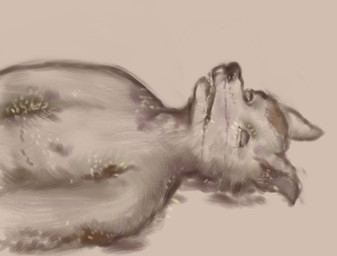 anthro blood blood_from_mouth blood_in_mouth blood_on_face bodily_fluids corpse death ears_up empty_eyes fur male mold_(fungus) molding nipples nosebleed nude rotting rotting_flesh solo reynard_goodfellow canid canine canis mammal wolf