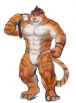 abs anthro asian_clothing blue_eyes bulge clothed clothing east_asian_clothing fundoshi japanese_clothing male muscular muscular_anthro muscular_male pecs simple_background solo stripes topless underwear white_background gawein-dragon felid mammal pantherine tiger