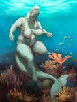 anthro anthro_focus big_breasts big_tail breasts casual_nudity clothing coral_reef female feral fin fully_submerged genitals non-mammal_breasts nude overweight overweight_anthro overweight_female pussy solo starfish_(accessory) starfish_bra tail tail_fin thick_tail thick_thighs underwear white_body white_skin molvno kaila_(slither) ambient_fish ambient_sealife anthozoan asterozoan beluga cetacean cnidarian coral dolphin echinoderm mammal marine monodontid starfish toothed_whale hi_res