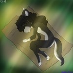 bedding black_body black_fur black_hair blanket female fur hair long_hair sleeping solo white_body white_fur young wolfie-pawz street_urchin_(wolfie-pawz) canid canine canis mammal wolf 1:1 alternate_version_at_source story story_in_description