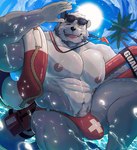 abs anthro areola barazoku beard bent_leg biceps big_bulge big_muscles body_hair bulge clothed clothing cloud day eyebrows eyewear eyewear_on_head facial_hair fur hair happy_trail holding_object huge_bulge huge_muscles kemono lifeguard looking_at_viewer male muscular muscular_anthro muscular_male navel nipples on_one_leg one_eye_closed open_mouth open_smile outside palm_tree partially_submerged pecs plant pubes rescue_buoy sky smile solo sparkles speedo splash standing sun sunglasses sunglasses_on_head swim_ring swimwear text thick_arms thick_thighs topless topless_anthro topless_male tree tuft water wave wet wet_body wet_fur whiskers whistle_(object) wink retsito mammal mustelid otter 2025 english_text hi_res