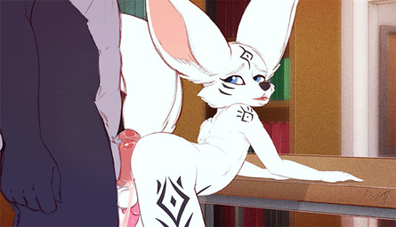 adult_on_young age_difference anal anal_knot_fucking anal_penetration animal_genitalia animal_penis anthro anthro_on_anthro anthro_penetrated anthro_penetrating anthro_penetrating_anthro backsack balls balls_deep bent_over big_penis black_nose blue_eyes bodily_fluids bouncing_balls bouncing_butt bouncing_penis butt canine_genitalia canine_penis cum cum_from_ass cum_in_ass cum_inside duo erection fluffy fluffy_tail from_behind_position fur genital_fluids genitals knot knot_fucking larger_anthro larger_male leaking_cum male male/male male_penetrated male_penetrating male_penetrating_male nude older_anthro older_male older_on_young penetration penile penile_penetration penis penis_in_ass penis_size_difference pink_knot pink_penis raised_tail sex shota size_difference smaller_anthro smaller_male smaller_penetrated solo_focus tail teeth thrusting tongue white_body white_ears white_fur white_tail young young_anthro young_male young_penetrated younger_anthro younger_male younger_penetrated poulet-7 etis huskgear canid canine fennec_fox fox mammal true_fox 2d_animation animated loop
