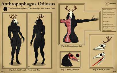 anatomy anthro antlers black_body black_fur black_sclera bone breasts butt claws female fur genitals hooves horn naturally_censored nipple_tuft nude open_mouth pubes red_eyes scientific_name skull solo speculative_evolution tail teeth text thick_fur thick_thighs tongue tongue_out tuft vulva x-ray_view majoridiocy american_mythology indigenous_north_american_mythology mythology north_american_mythology nayelli_(majoridiocy) mammal wendigo absurd_res english_text hi_res huge_filesize model_sheet