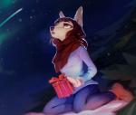 anthro biped brown_eyes brown_hair clothed clothing female footwear fully_clothed gift gloves hair handwear kneeling open_mouth outside scarf shirt shoes shooting_star snow solo star topwear crimsonlure canid canine fox mammal 2019