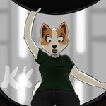 anthro brown_eyes female opening solo surprised working kingkuraselache prisma_dog canid canine canis domestic_dog mammal norrbottenspets spitz 1:1 hi_res