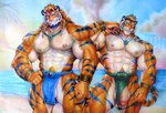 abs anthro balls barazoku beach big_muscles big_penis blue_stripes bottomwear braided_hair clothed clothing day duo flaccid genitals hair haircut huge_muscles humanoid_genitalia humanoid_penis ineffective_clothing ineffective_loincloth larger_male loincloth male male/male muscular muscular_anthro muscular_male nipple_piercing nipples orange_body outside pecs penis piercing size_difference stripes tail tall topless topless_male mrkun felid mammal pantherine tiger graphite_(artwork) hi_res traditional_media_(artwork)