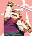 anthro clothed clothing eye_patch eyewear humanoid_hands kemono male overweight overweight_male scar solo weapon nikiciy dragon_quest dragon_quest_x square_enix cat_ribeiro domestic_cat felid feline felis mammal 2016