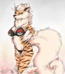 anthro bikini breasts clothing female fluffy fluffy_tail fur solo standing swimwear tail two-piece_swimsuit geckoguy123456789 wouhlven nintendo pokemon arcanine canid canine generation_1_pokemon mammal pokemon_(species) hi_res