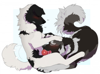 animal_genitalia animal_penis arm_under_legs black_body black_fur blush bodily_fluids breath canine_genitalia canine_penis clenched_teeth duo erection eyes_closed fellatio feral feral_on_feral feral_penetrated feral_penetrating feral_penetrating_feral fluffy fluffy_tail fur genitals hand_on_head intraspecies knot knotted_penis lying male male/male male_penetrated male_penetrating male_penetrating_male multicolored_body multicolored_fur on_front onomatopoeia oral oral_penetration panting pawpads paws penetration penile penile_penetration penis romantic romantic_couple saliva sex simple_background sitting sound_effects tail tail_motion tailwag teeth text white_body white_fur gushoafterdark ares_(dreamcrest) sterling_(theshadowflare) canid canine canis domestic_dog mammal wolf 2025 digital_drawing_(artwork) digital_media_(artwork) hi_res