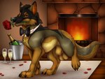 alcohol animal_genitalia animal_penis balls beverage black_bow_tie black_claws black_nose bottle bow_tie brown_body brown_fur brown_tail canine_genitalia canine_penis champagne cheek_tuft claws container facial_tuft feral fireplace flower flower_in_mouth fully_sheathed fur genitals glistening glistening_eyes grey_body grey_fur grey_tail inside looking_at_viewer male narrowed_eyes neck_tuft orange_pawpads pawpads penis plant quadruped rose_(flower) rose_in_mouth sheath side_view solo tail tan_balls tan_body tan_fur tan_sheath tuft killthe_demon canid canine mammal hi_res