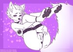 anthro anus areola bottomwear bra clothing female genitals latex lying nipples presenting presenting_pussy purple_eyes pussy shorts smile solo underwear conditional_dnp taurika canid canine fox mammal