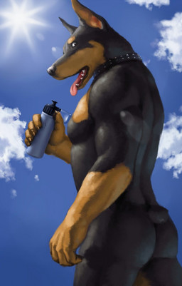 anthro biceps black_body black_fur bottle butt cloud collar container detailed_background fur looking_at_viewer looking_back male muscular muscular_anthro muscular_male nude outside pecs sky solo sun tongue lag2011 canid canine canis dobermann domestic_dog mammal pinscher 2013 hi_res