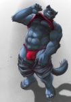 5_fingers 5_toes abs anthro biceps big_muscles biped black_body black_eyes black_fur black_nose blue_body blue_fur bodily_fluids bottomwear bottomwear_down bulge claws clothed clothing clothing_lift detailed_bulge feet fingers flaccid footwear fur genital_outline genitals green_eyes grin jockstrap looking_at_viewer male muscular muscular_anthro muscular_male navel nipples pants pants_down partially_clothed pecs penis penis_outline pubes raised_arm sandals shadow shirt shirt_lift shoes shorts shorts_down smile solo standing sweat tank_top teeth thong toe_claws toes topwear underwear bomb_(artist) canid canine mammal