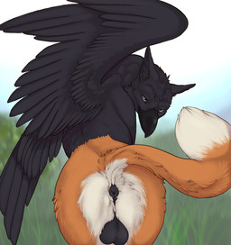 anus balls black_anus black_balls black_body black_feathers black_fur butt dipstick_tail feathered_wings feathers feral fur genitals male markings orange_body orange_fur presenting presenting_anus presenting_hindquarters purple_eyes solo split_form tail tail_markings white_body white_fur wings peanertgallery mythology alexandros avian bird canid canine corvid corvus_(genus) fox gryphon hybrid mammal mythological_avian mythological_creature oscine passerine raven