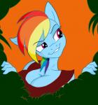 2013 alpha_channel animated anthro anthrofied big_breasts blue_fur blur breasts cleavage clothed clothing dat_grin equine female focus_blur friendship_is_magic front fur grin hair horse huge_breasts jrvanesbroek mammal multi-colored_hair my_little_pony naughty_face outside pink_eyes playful pony purple_eyes rainbow_dash_(mlp) rainbow_hair raised_eyebrow rape_face shirt short_hair smile smirk solo standing
Rating: Questionable
Score: 13
User: Robinebra
Date: December 23, 2013