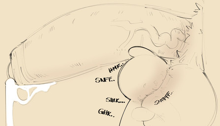 ambiguous_gender antennae_(anatomy) anthro ball_lick ball_sniffing ball_worship balls big_balls big_penis bodily_fluids body_worship duo fur genital_fluids genital_worship genitals huge_balls huge_penis hyper licking male oral penis precum pubes sex side_view size_difference sniffing tongue vein veiny_penis sushiamazing bits_and_bops sushi_(sushiamazing) arthropod caterpillar domestic_cat felid feline felis insect larva mammal 2025 digital_media_(artwork) monochrome sketch
