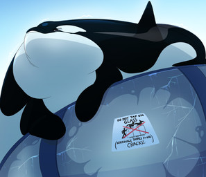 black_text blue_background blue_eyes cracks feral growth inflation motion_lines obese overweight profanity simple_background text water dolphinproject mystic_(mysticorca) aquatic cetacean dolphin mammal oceanic_dolphin orca toothed_whale 2022 absurd_res hi_res