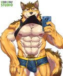 abs anthro bulge clothing countershading detailed_bulge genital_outline male mirror mirror_selfie muscular muscular_anthro muscular_male nipples pecs penis_outline pubes selfie shirt solo tank_top text topwear underwear weedwolfeatmeat lifewonders live_a_hero barrel_(live_a_hero) canid canine canis mammal wolf english_text