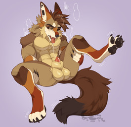 abs animal_genitalia animal_penis anthro arm_tuft autofellatio ball_tuft balls bedroom_eyes biceps big_balls black_nails bodily_fluids brown_hair canine_genitalia canine_penis chest_tuft claws colored_nails dripping fangs fur genital_fluids genitals glistening glistening_balls glistening_genitalia glistening_hair glistening_pawpads glistening_penis glistening_sheath glistening_tongue grey_body grey_fur hair hand_on_leg hand_on_thigh hands_on_legs hands_on_thighs leaning leaning_backward legs_up looking_at_genitalia looking_at_penis male masturbation motion_lines muscular muscular_male nails narrowed_eyes neck_tuft open_mouth oral oral_masturbation pawpads penile penile_masturbation penis penis_tip precum precum_drip precum_in_mouth precum_string saliva saliva_string seductive sheath shoulder_tuft simple_background sitting solo spread_legs spreading sweat sweatdrop tail teeth toe_claws tongue tongue_out tuft yellow_eyes crazybear canid canine canis coyote mammal 2026 absurd_res hi_res