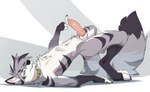 animal_genitalia animal_penis anthro arch_position arched_back athletic athletic_male bedroom_eyes bite biting_lip biting_own_lip blue_eyes canine_genitalia canine_penis chest_tuft claws collar collar_only digitigrade erection fingerless_(marking) from_front_position fur fur_markings genitals green_collar grey_body grey_fur hair knot looking_at_viewer male markings multicolored_body narrowed_eyes nude penis pink_inner_ear pink_penis presenting presenting_penis seducing_viewer seductive seductive_mouth self_bite sex sheath simple_background slim smile solo striped_body striped_fur stripes tail teeth tuft white_body white_fur drmax ayakan_(krispycable) canid canine canis fox mammal hi_res