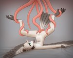 anthro bound consentacles female legs_tied nude nude_anthro nude_female penetration sex solo tentacle_penetration tentacle_sex tentacles aydaharart lyra_(w4g4) avian bird potoo 5:4 absurd_res hi_res