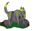 duo female feral from_front_position genitals lying male male/female missionary_position on_back penis penis_base raised_tail sex simple_background tail white_background unknown_artist nintendo pokemon canid canine eeveelution generation_2_pokemon generation_5_pokemon mammal pokemon_(species) umbreon zorua 2d_animation 6:5 animated digital_media_(artwork) low_res motion_tweening pixel_(artwork) pixel_animation short_playtime