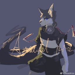 anthro black_bottomwear black_clothing black_nose black_pants black_topwear blue_eyes bottomwear clothed clothing electronics front_view fur glistening glistening_eyes grey_background grey_body grey_fur headphones headphones_around_neck male male_anthro mouth_closed pants simple_background solo standing topwear white_body white_clothing white_fur white_topwear awaldkize canid canine mammal 1:1