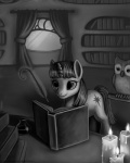 book duo feathered_wings feathers female feral fur hair horn quadruped tail wings magpie_(artist) friendship_is_magic hasbro my_little_pony mythology owlowiscious_(mlp) twilight_sparkle_(mlp) avian bird equid equine mammal mythological_creature mythological_equine owl unicorn 4:5 black_and_white greyscale monochrome