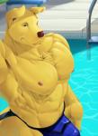 anthro biceps bottomwear bulge clothed clothing eyebrows fur jockstrap looking_at_viewer male muscular muscular_anthro muscular_male nipples red_nose smile solo swimming_pool tight_clothing underwear water wet yellow_body yellow_fur hamili bird_dog canid canine canis domestic_dog golden_retriever hunting_dog mammal retriever