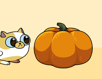 ambiguous_gender big_pupils dilated_pupils feral food fruit fur on_model paws plant pumpkin pupils simple_background solo toony white_body white_fur discount-supervillain adventure_time cartoon_network fionna_and_cake_(franchise) cake_the_cat domestic_cat felid feline felis mammal digital_media_(artwork)
