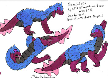 blue_body blue_feathers brown_body brown_scales feathers feral male red_body red_scales scales simple_background solo tail text miguel_the_divine_dragon dragonscape mythology jose_(miguel_the_divine_dragon) dinosaur dragon mythological_creature mythological_scalie ormer prehistoric_species reptile saurischian scalie theropod absurd_res english_text hi_res model_sheet traditional_media_(artwork)