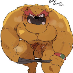 anthro balls barazoku biceps big_penis blush bodily_fluids bracelet clothed clothing cum cum_drip cum_in_clothing cum_in_underwear cum_on_penis deltoids dripping erection eyebrows flustered flustered_male fur genital_fluids genitals grey_clothing grey_underwear humanoid_genitalia humanoid_penis jewelry leaking_cum licking licking_lips male muscular muscular_anthro muscular_male orange_body orange_fur orange_penis partially_clothed pecs penis pubes red_eyebrows red_pubes sharp_teeth solo speech_bubble steam sweat teeth text thick_eyebrows thick_thighs tongue tongue_out trapezius underwear underwear_down underwear_only undressing wet wet_clothing wet_underwear hyaku_(artist) nintendo warioware dribble_(warioware) bulldog canid canine canis domestic_dog mammal mastiff molosser