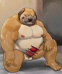 anthro balls belly brown_body censor_bar erection genitals humanoid_genitalia humanoid_hands humanoid_penis ineffective_censorship kemono male moobs navel nipples overweight overweight_male penis solo 00murice canid canine canis domestic_dog mammal 2021 censored