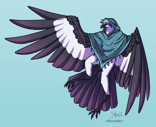 abstract_background ambiguous_gender anthro avian_feet beak black_body black_feathers blue_background blue_clothing clothing feathers poncho poncho_only simple_background solo spread_wings tail tail_feathers white_body white_feathers wings shenzaibird birdpathy avian bird absurd_res hi_res