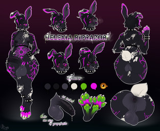 anthro anus balls big_balls big_butt big_penis black_body black_fur breasts butt fur genitals gynomorph helexia intersex neon_pink paws penis rirpazor small_breasts solo text utya lagomorph leporid mammal rabbit absurd_res english_text hi_res model_sheet trans_(lore) trans_woman_(lore)