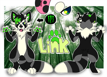 anthro back_tuft black_body black_ears black_fur black_hair black_stripes black_tail black_tongue blep chest_tuft digitigrade feet front_view fur glistening glistening_eyes green_eyes green_hair green_inner_ear green_pawpads grey_body grey_fur grey_stripes grey_tail hair inner_ear_fluff male markings multicolored_hair multicolored_tongue neck_tuft nude pawpads pink_tongue rear_view ring_(marking) ringed_tail solo standing striped_markings striped_tail stripes tail tail_markings text toeless_(marking) tongue tongue_out tuft two_tone_hair two_tone_tongue white_body white_ears white_fingers white_fur white_inner_ear_fluff white_tail white_toes princelykaden monster_energy ailurid canid canine canis domestic_dog husky hybrid mammal nordic_sled_dog red_panda spitz 2015 character_name digital_drawing_(artwork) digital_media_(artwork) flat_colors model_sheet