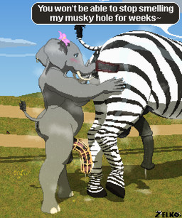 anal anal_fluids anal_juice_drip anal_penetration animal_genitalia animal_penis anthro anthro_on_feral anus balls bestiality blush bodily_fluids breasts chastity_cage chastity_device cum dominant dominant_feral dominant_male dripping duo equine_anus equine_genitalia equine_penis feral field flared_penis flower_accessory genital_fluids genitals gynomorph gynomorph_on_feral intersex intersex/male intersex_on_feral jewelry male male_feral musk musky_penis oral penetration penile penis penis_size_difference precum precum_drip presenting presenting_anus proboscis_(anatomy) puffy_anus quadruped raised_tail sex snout_fuck speech_bubble striped_body stripes submissive submissive_anthro sweat sweatdrop sweaty_anus sweaty_balls sweaty_body sweaty_genitalia sweaty_penis tail tail_fluff text trunk_(anatomy) trunk_in_ass trunk_play trunk_sex x-ray_view conditional_dnp zelkothezeeb zelko elephant elephantid equid equine hybrid mammal proboscidean zebra 5:6 digital_media_(artwork) hi_res pixel_(artwork)