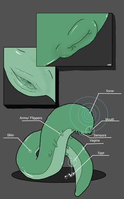 anus blind bodily_fluids close-up disability egg eyeless female feral genital_fluids genitals green_body green_skin grey_background lips simple_background solo species_sheet text vaginal_fluids vulva eatmybuns gastropod mollusk slug unknown_species 5:8 english_text hi_res model_sheet story story_in_description