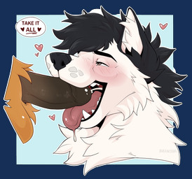 anthro balls blush bodily_fluids command cum cum_in_mouth cum_inside drinking drinking_cum fluffy fur genital_fluids genitals heart_symbol male male/male oral penis swallowing tongue tongue_out white_body white_fur black_akerra furball_noah snowfox canid canine fox mammal absurd_res alpha_channel hi_res