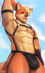 anthro bdsm blonde_hair bodily_fluids bondage bound bulge clothing cloud cum cum_in_clothing cum_through_clothing erection fennix63 fur genital_fluids hair harness jockstrap male muscular muscular_male nipples nude precum precum_through_clothing sky smile solo tail underwear wet wet_clothing szoch canid canine fox mammal absurd_res digital_media_(artwork) hi_res
