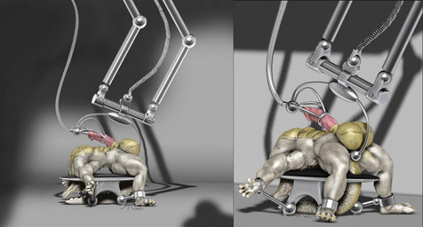 albino anal anal_penetration anthro arched_back balls balls_expansion bdsm big_balls big_penis biped bodily_fluids bondage bound cum erection expansion exposed fucking_machine fully_bound genital_expansion genital_fluids genitals growth hyper inflation laboratory lying machine male masturbation mechanic metal muscular muscular_anthro muscular_male nude on_back penetration penile penile_masturbation penis red_eyes restraining_table robotic_arm scales scientific_experiment solo spread_legs spreading submissive submissive_male urethral urethral_penetration white_body white_scales blackpanthress raithian alligator alligatorid crocodilian reptile scalie 3d_(artwork) digital_media_(artwork)