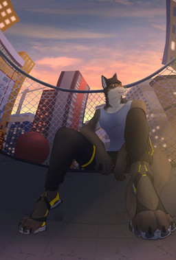 anthro ball basketball_(ball) chill male outside rooftop sky sport summer urban dansats hi_res